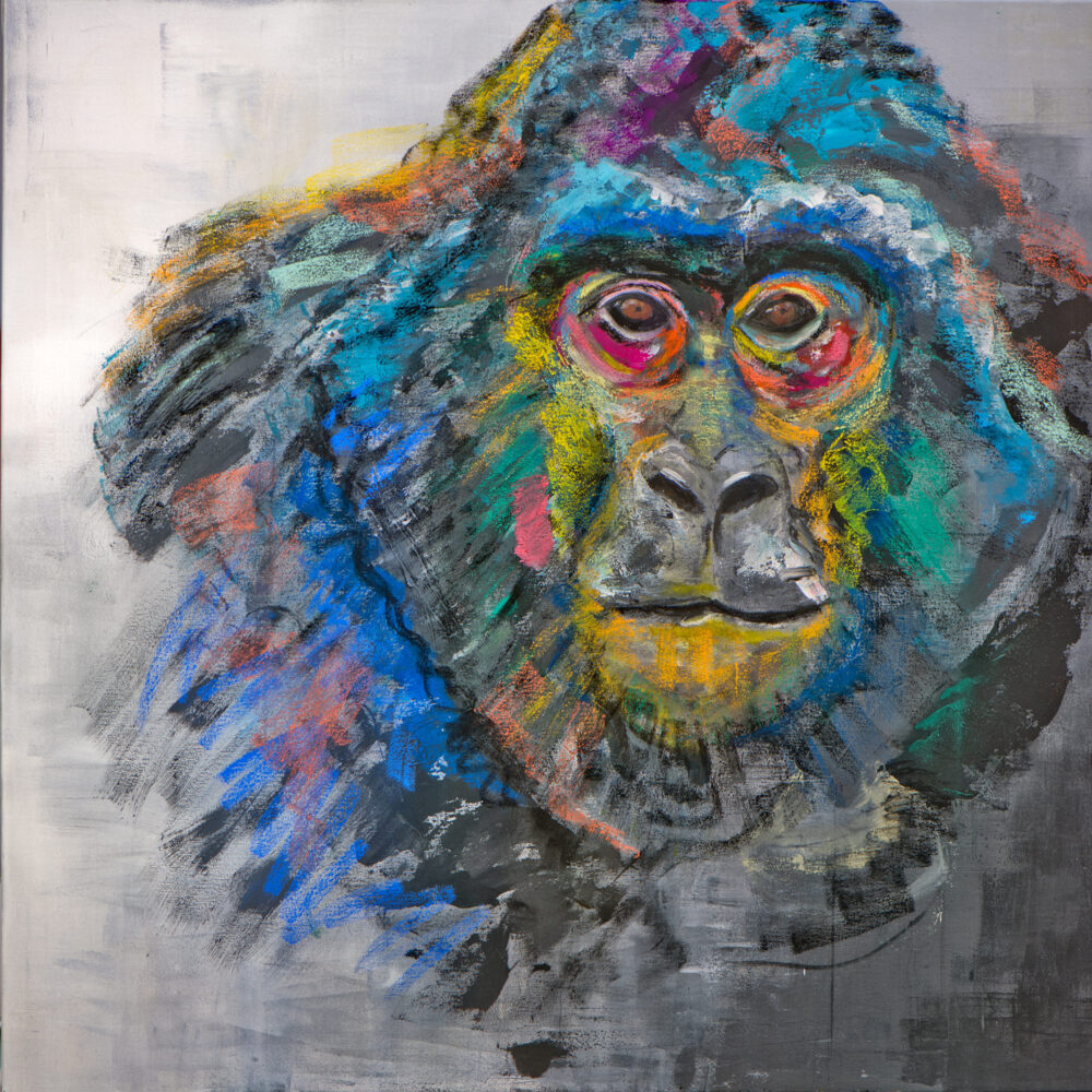 Farbenfrohes Porträt einer Gorilla-Dame, die den Betrachter direkt anschaut im quadratischen Format. Das original entstand im Januar 2020 - kurz nach dem Brand des Affenhauses im Krefelder Zoo auf einer 100 x 100 cm Leinwand in Acryl-Pastell-Mischtechnik. Die kräftigen Farben blau, türkis, rosa, rot, gelb, lila setzen sich gut ab vom schwarz-weißen Hintergrund und machen das Bild noch lebendiger.