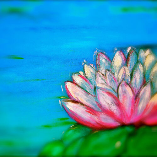 Das Gemälde Kleine Seerose zeigt vorne rechts eine Seerose in den Farben weiss, pink und rosa, teils scharf, auf grünem Blatt. Der See im Hintergrund ist verschwommen blau. Das Gemälde soll an Fotos erinnern, die einen Teil des Abgebildeten unscharf maskiren.