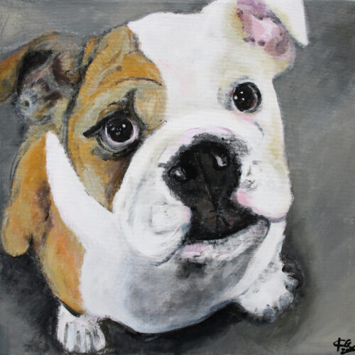 Gemälde Bulldogge, Hundeportrait, Malerei, Karin Greife, Kunst, Hunde malen, Zeichnung, Bulldoggen, Züchtung