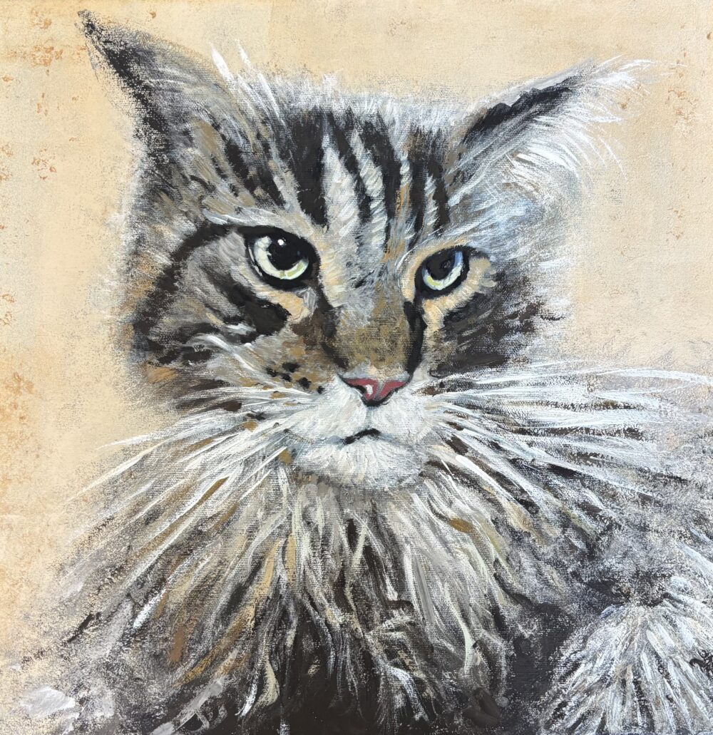 Der Kater